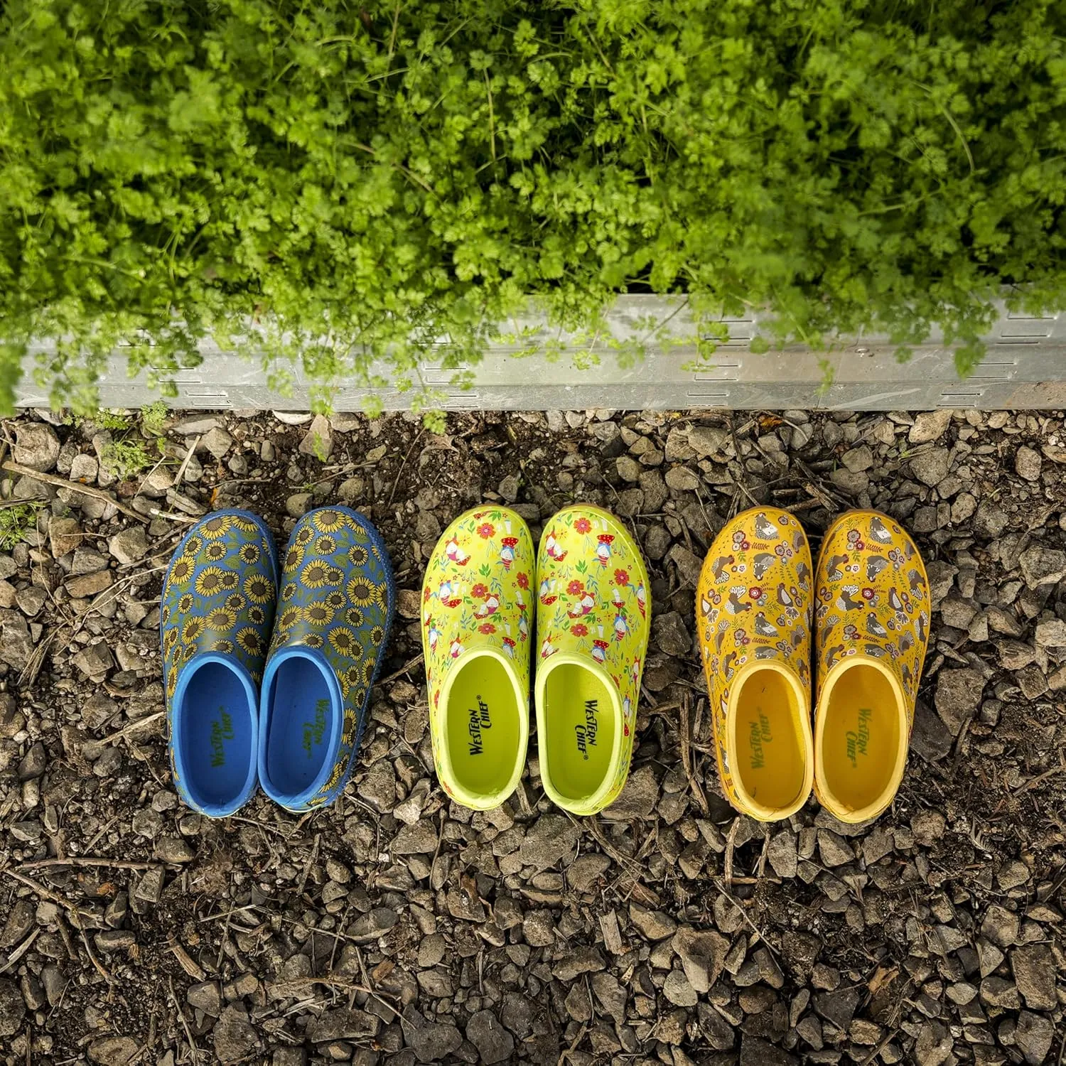 Western Chief Womens Waterproof Clog with Neoprene Lining and Rubber Outsole - Perfect for Garden and Outdoor Wear