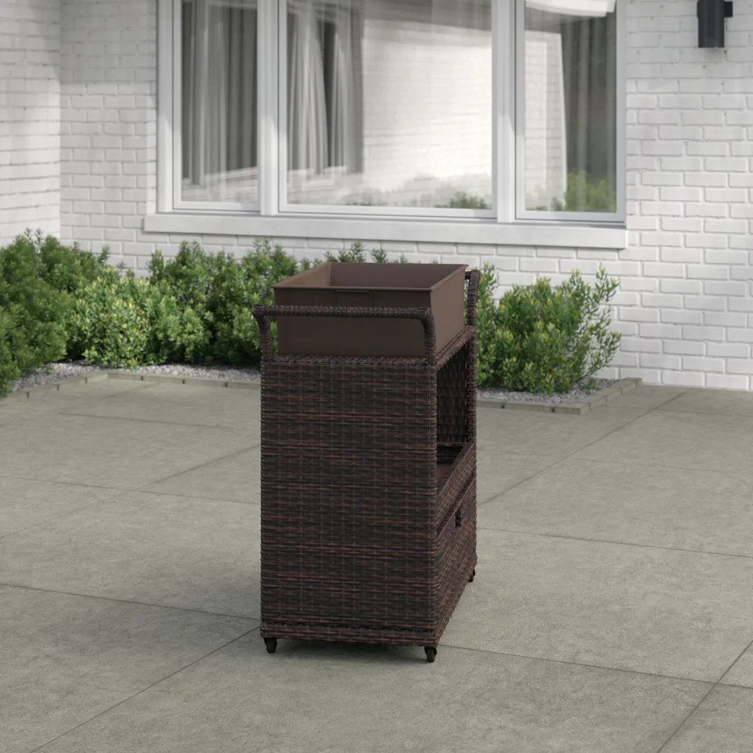 Zytavious Bar Cart with Iron and Wicker Red Barrel Studio®
