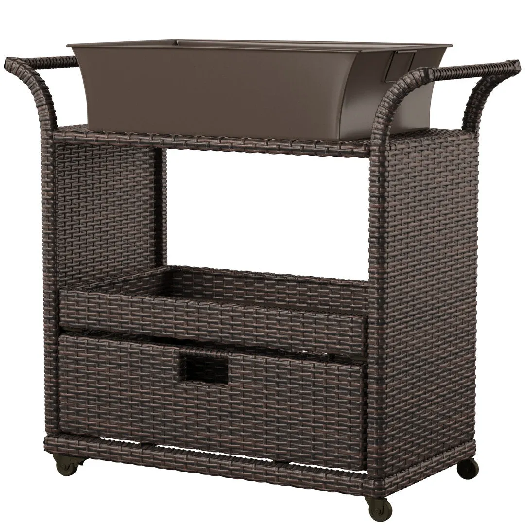 Zytavious Bar Cart with Iron and Wicker Red Barrel Studio®