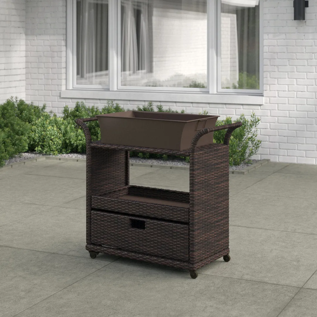 Zytavious Bar Cart with Iron and Wicker Red Barrel Studio®