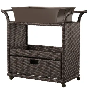 Zytavious Bar Cart with Iron and Wicker Red Barrel Studio®
